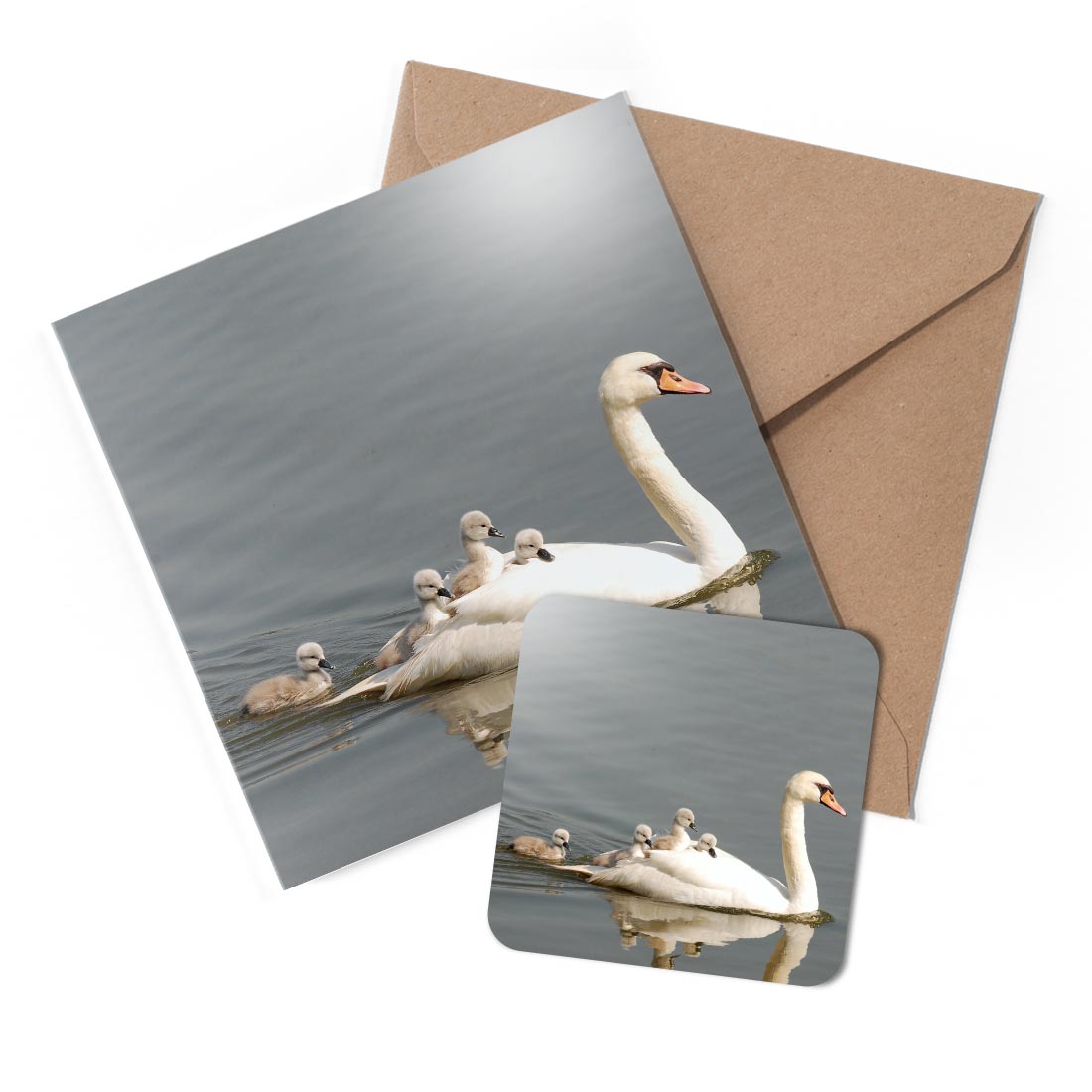 1 x Greeting Card & Coaster Set - Baby Swan Cute Birds #50170