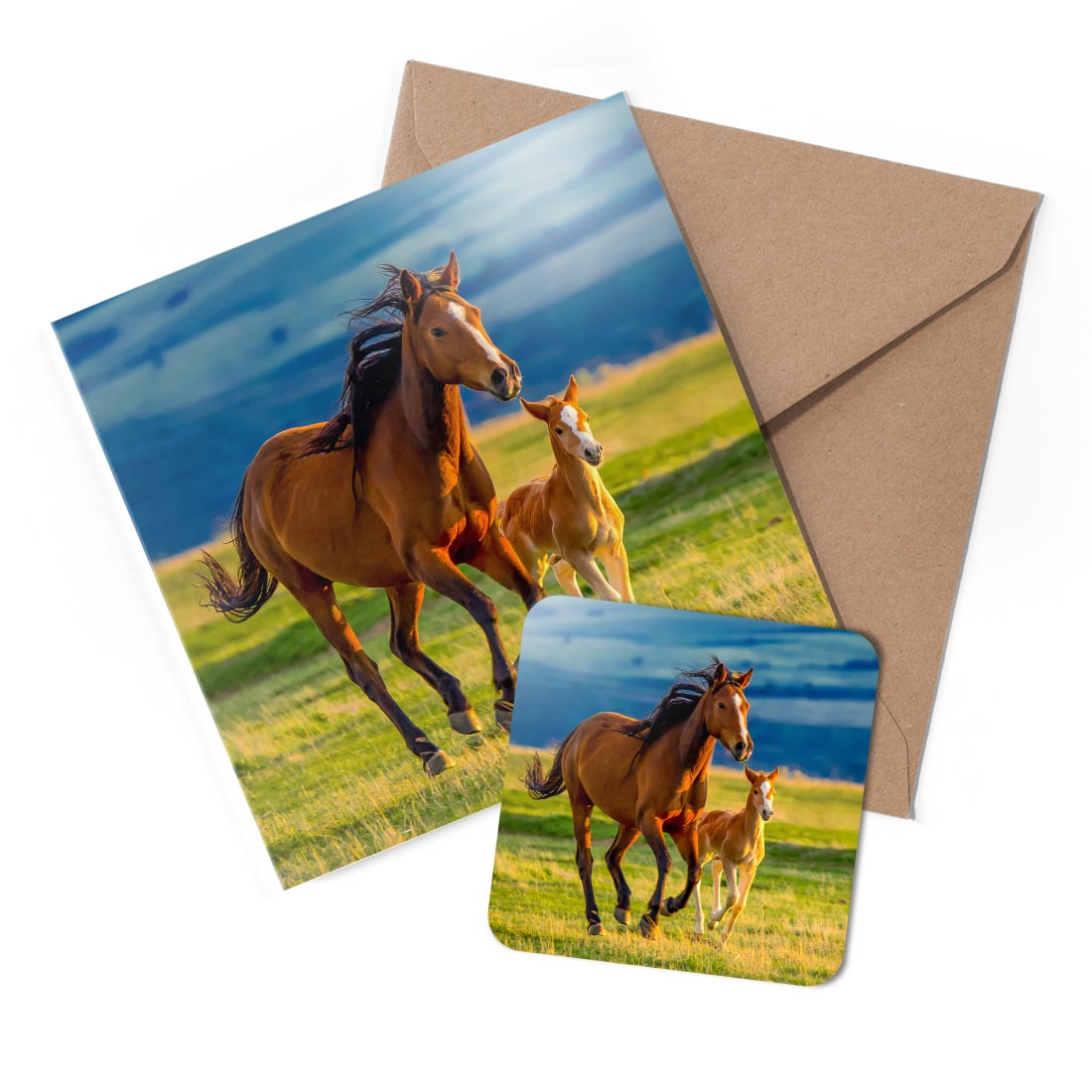 1 x Greeting Card & Coaster Set - Bay Horse & Foal Baby Animal Horses #50201