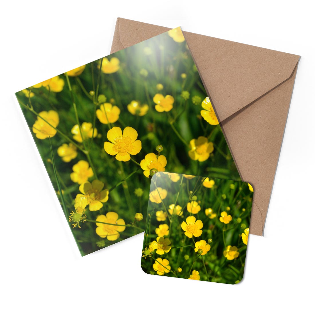 1 x Greeting Card & Coaster Set - Beautiful Buttercups Flowers #50207