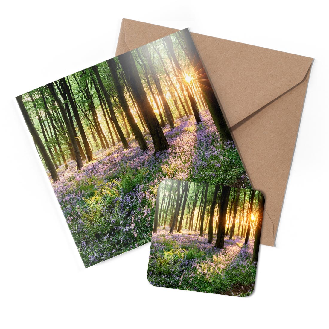 1 x Greeting Card &amp; Coaster Set - Bluebell Forest Flowers Woods #50346 AN9853