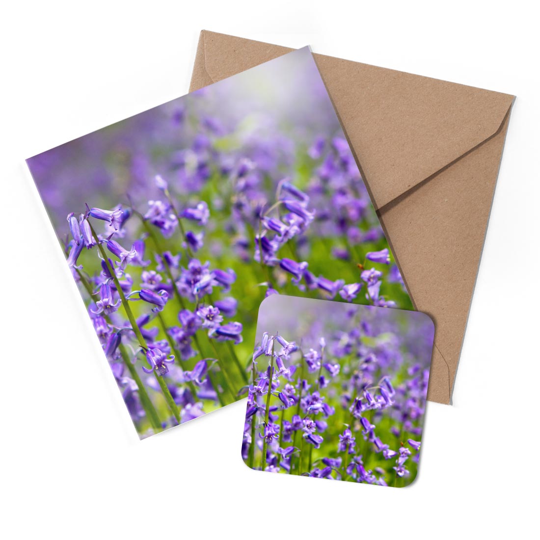 1 x Greeting Card & Coaster Set - Bluebell Forest Flowers Woods Blue #50347
