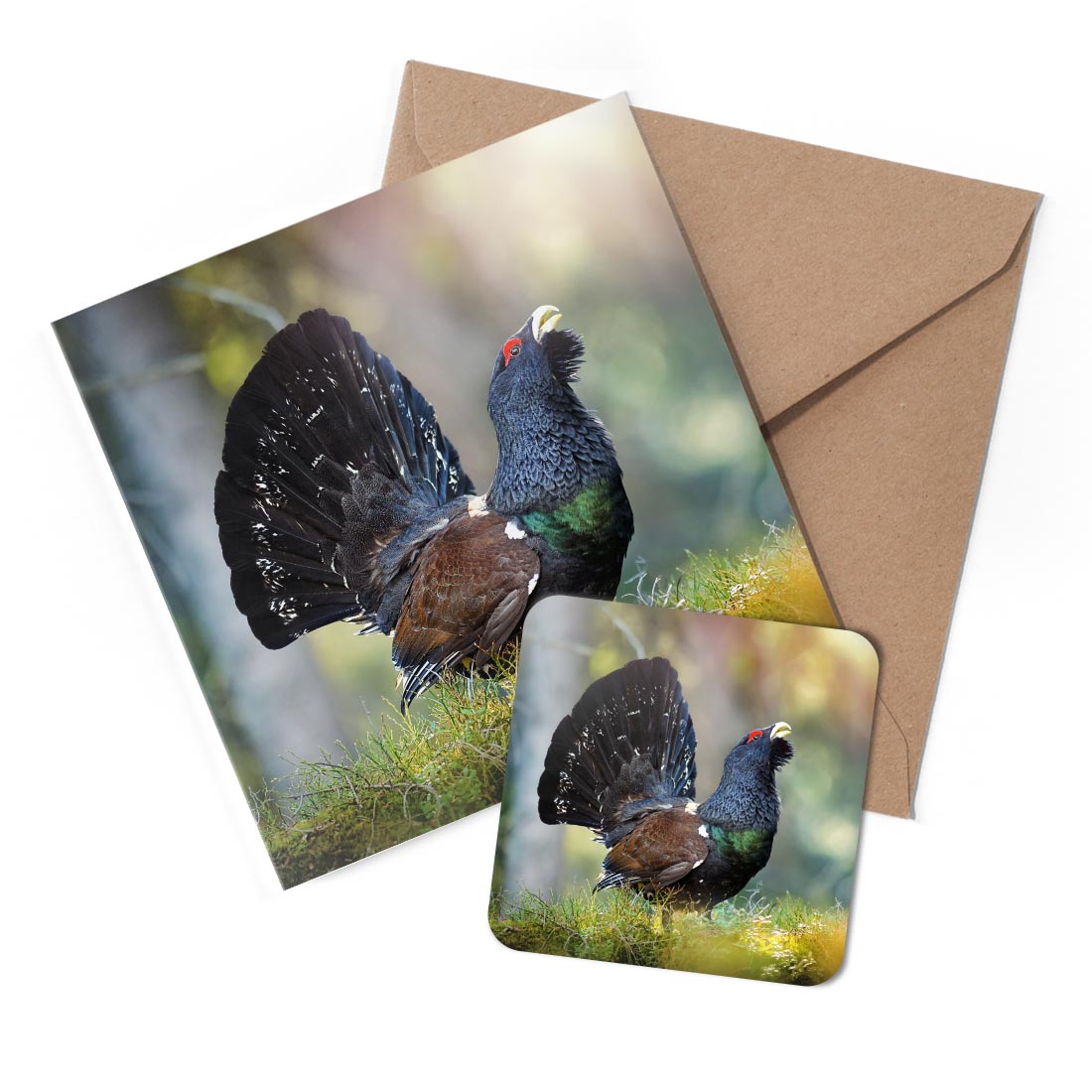 1 x Greeting Card & Coaster Set - Capercaillie Bird Wildlife Nature #50453
