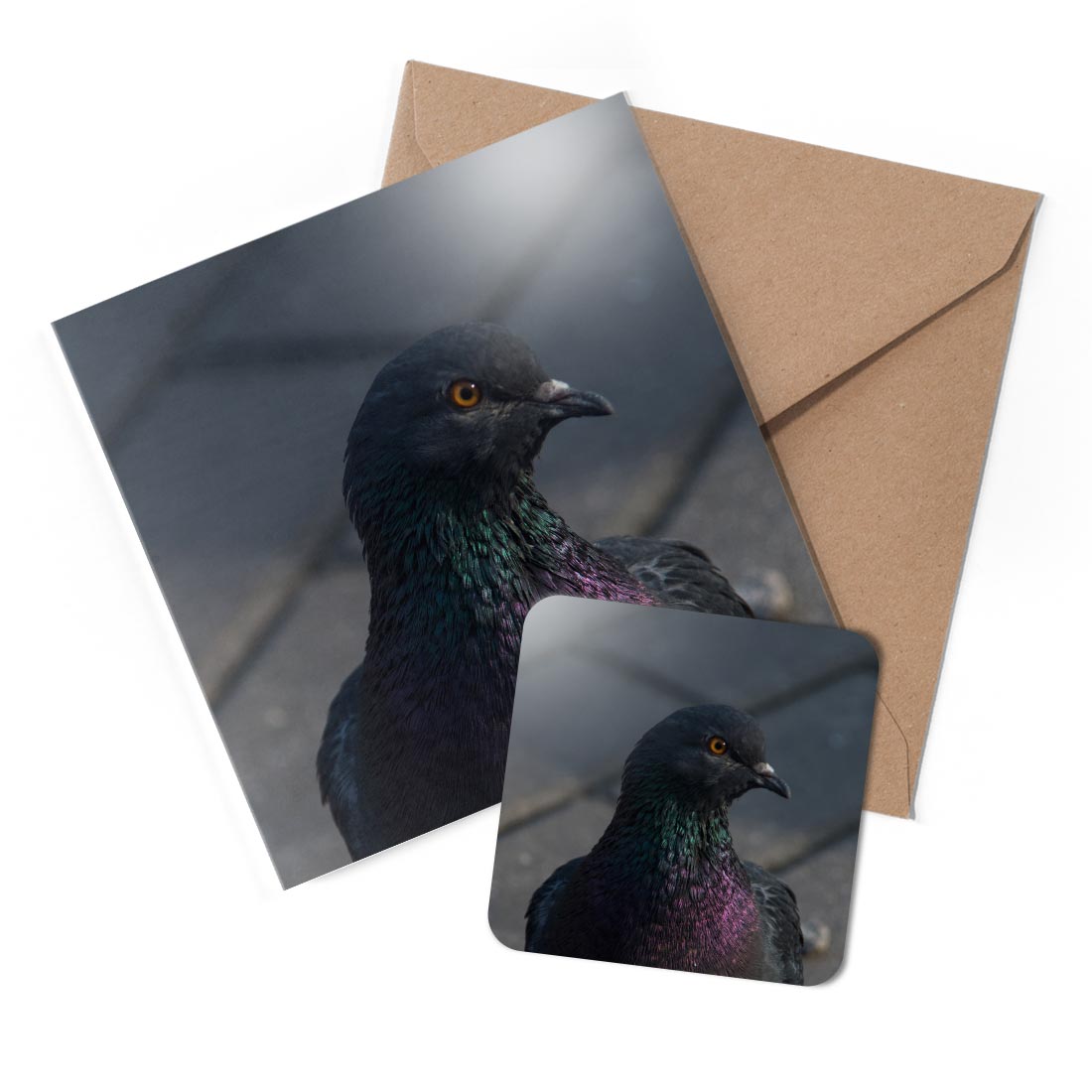 1 x Greeting Card & Coaster Set - Close Up Pigeon Bird Homing Racing #50548