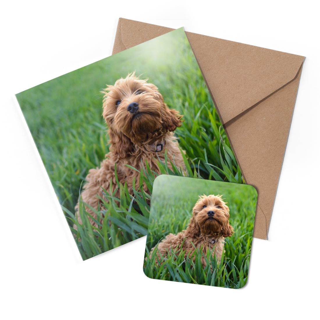 1 x Greeting Card & Coaster Set - Cockapoo Puppy Dog #50557