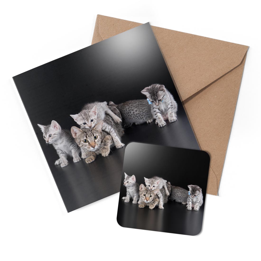 1 x Greeting Card & Coaster Set - Egyptian Mau Cat with Kittens Animal #50807