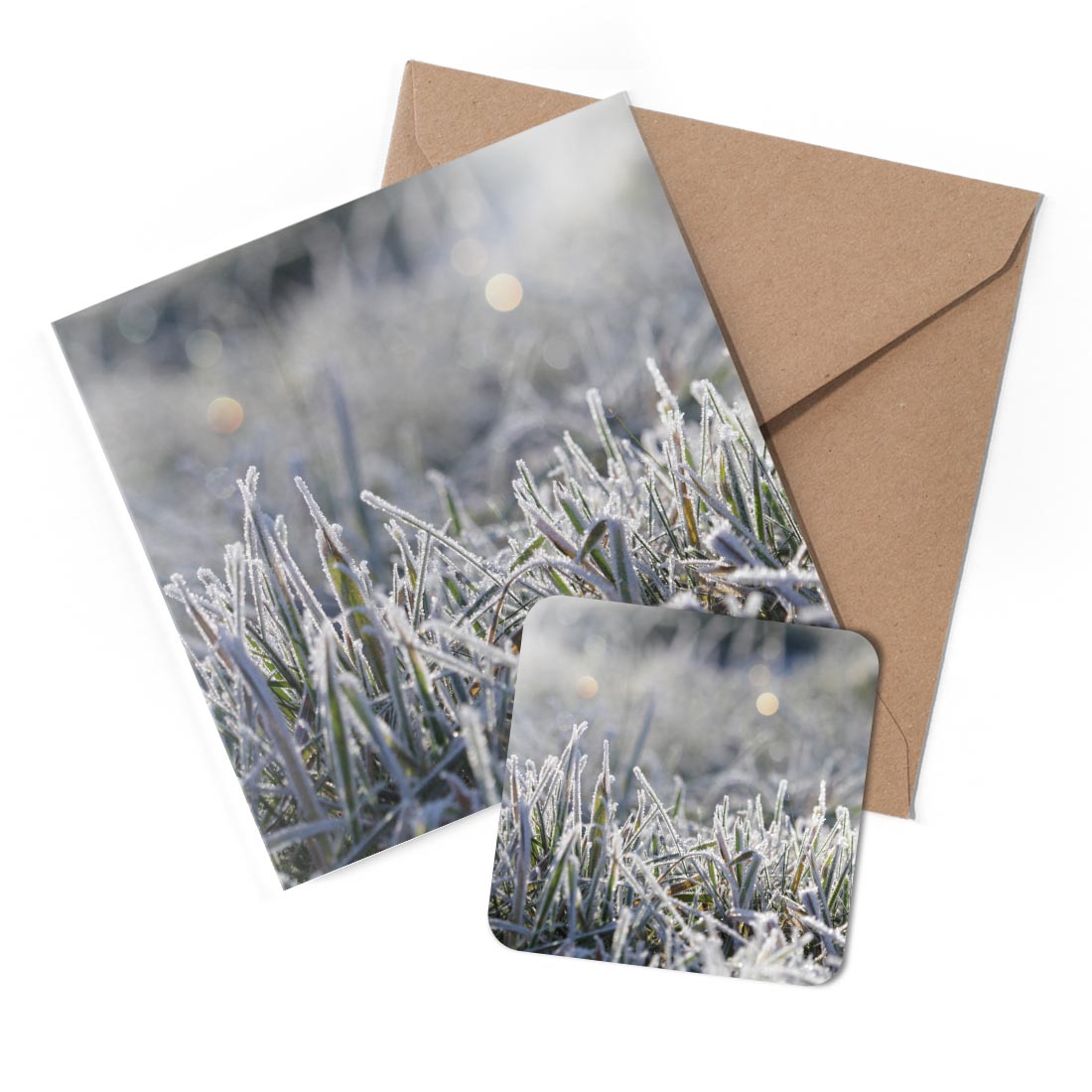 1 x Greeting Card & Coaster Set - Frosted Grass Winter Nature #50950