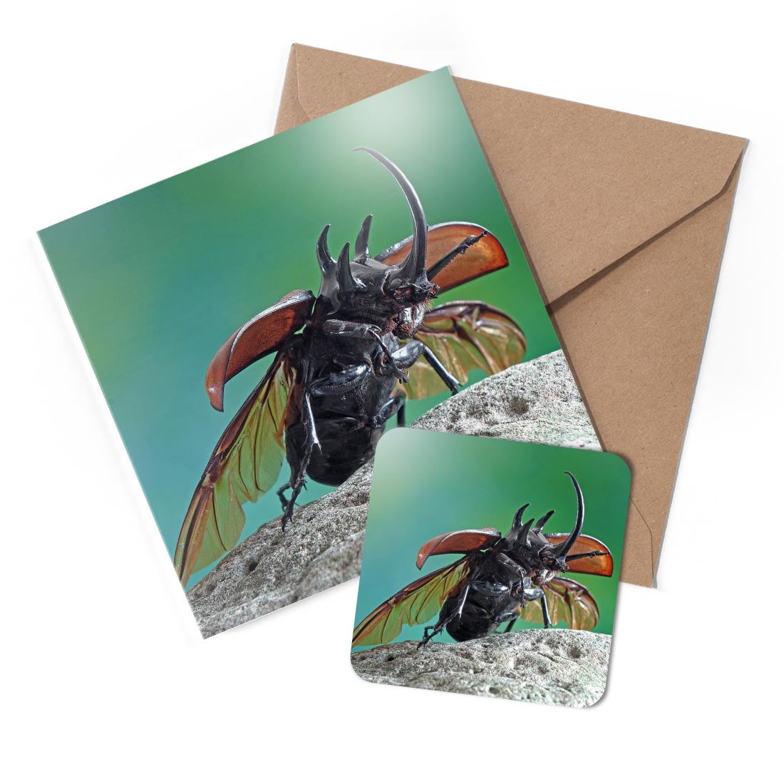 1 x Greeting Card & Coaster Set - Rhinoceros Beetle Insect Biology #51908