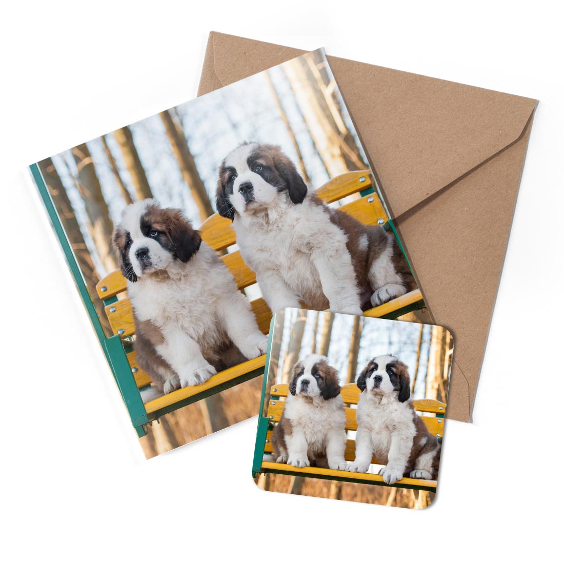 1 x Greeting Card & Coaster Set - Saint Bernard Puppies Dog Puppy #51953