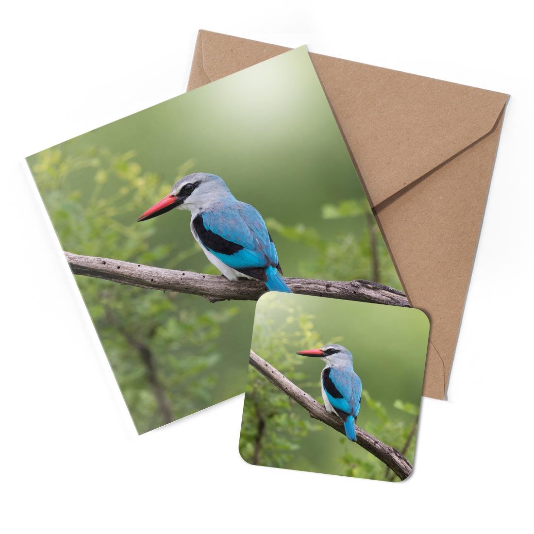 1 x Greeting Card & Coaster Set - Blue Kingfisher Bird Wild #52662