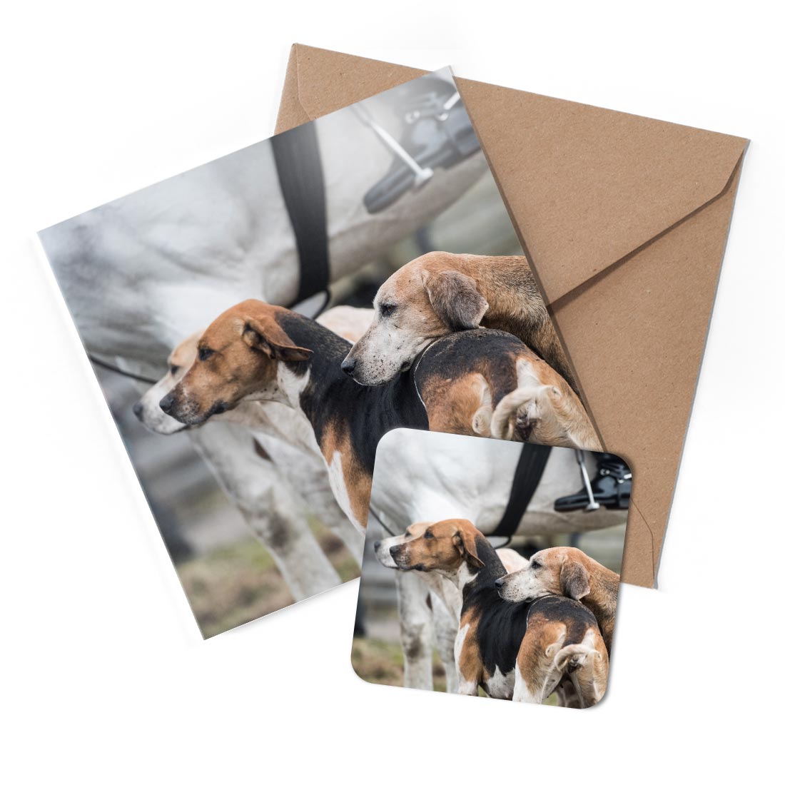 1 x Greeting Card & Coaster Set - Fox Hounds Dogs Hunting Horse #52858