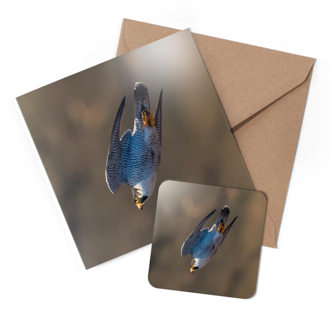 1 x Greeting Card &amp; Coaster Set - Peregrine Falcon Bird Dive #53135 AN9456