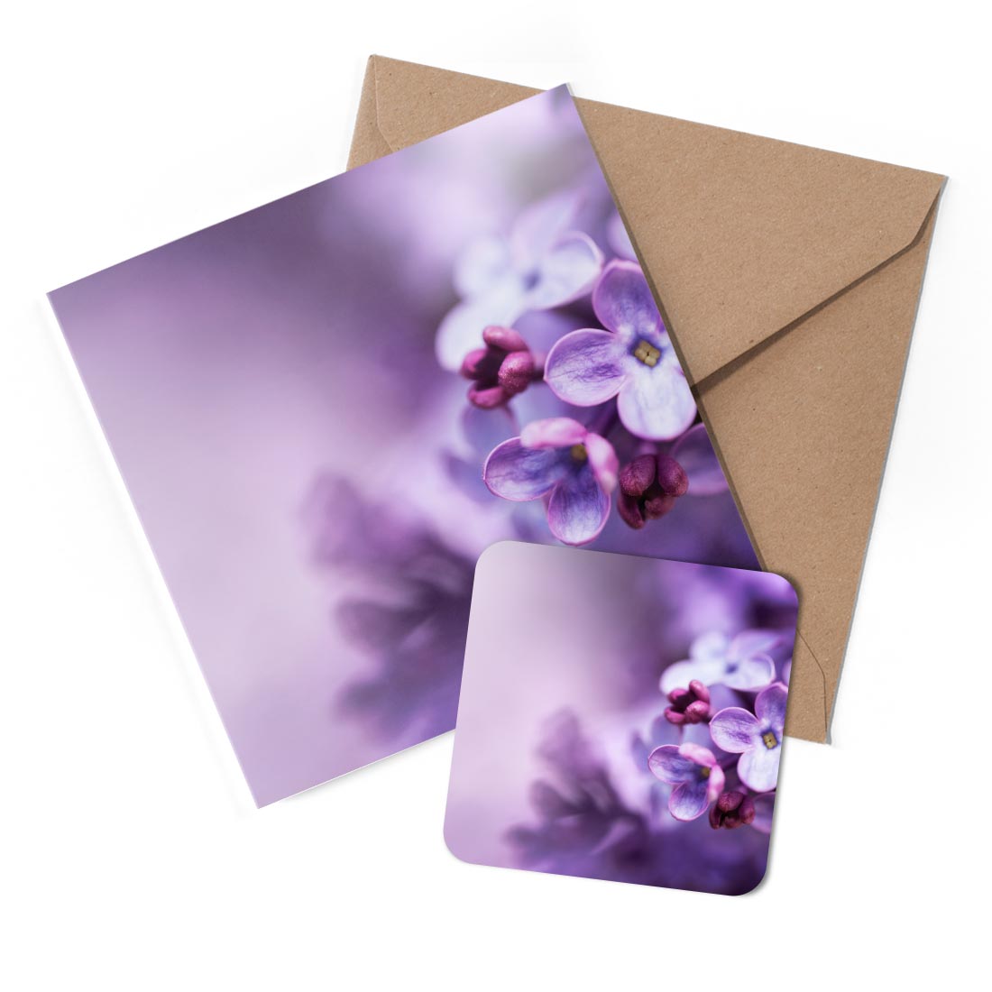 1 x Greeting Card & Coaster Set - Pretty Purple Lilac Flowers Flower #53185
