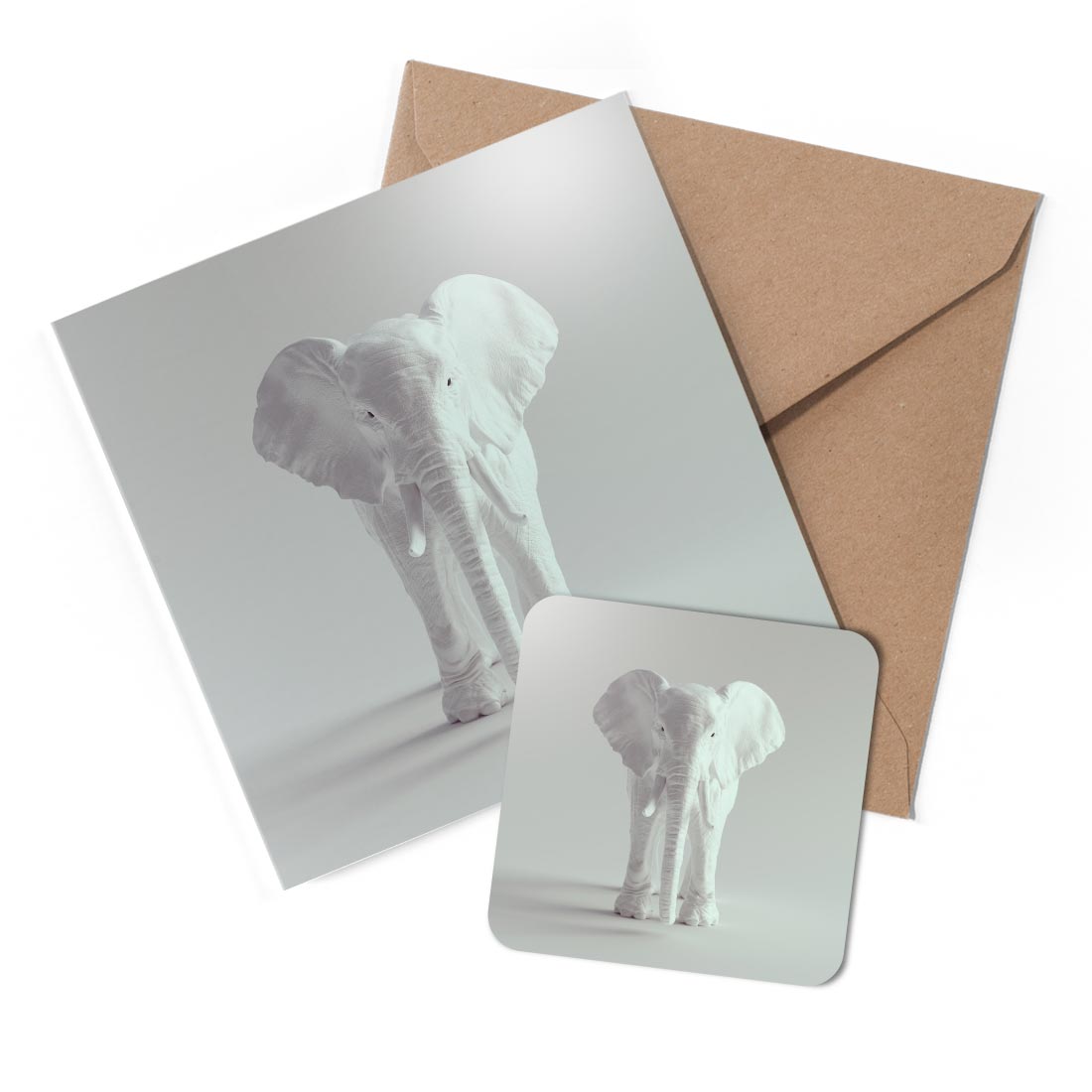 1 x Greeting Card & Coaster Set - White Elephant Animal #53559