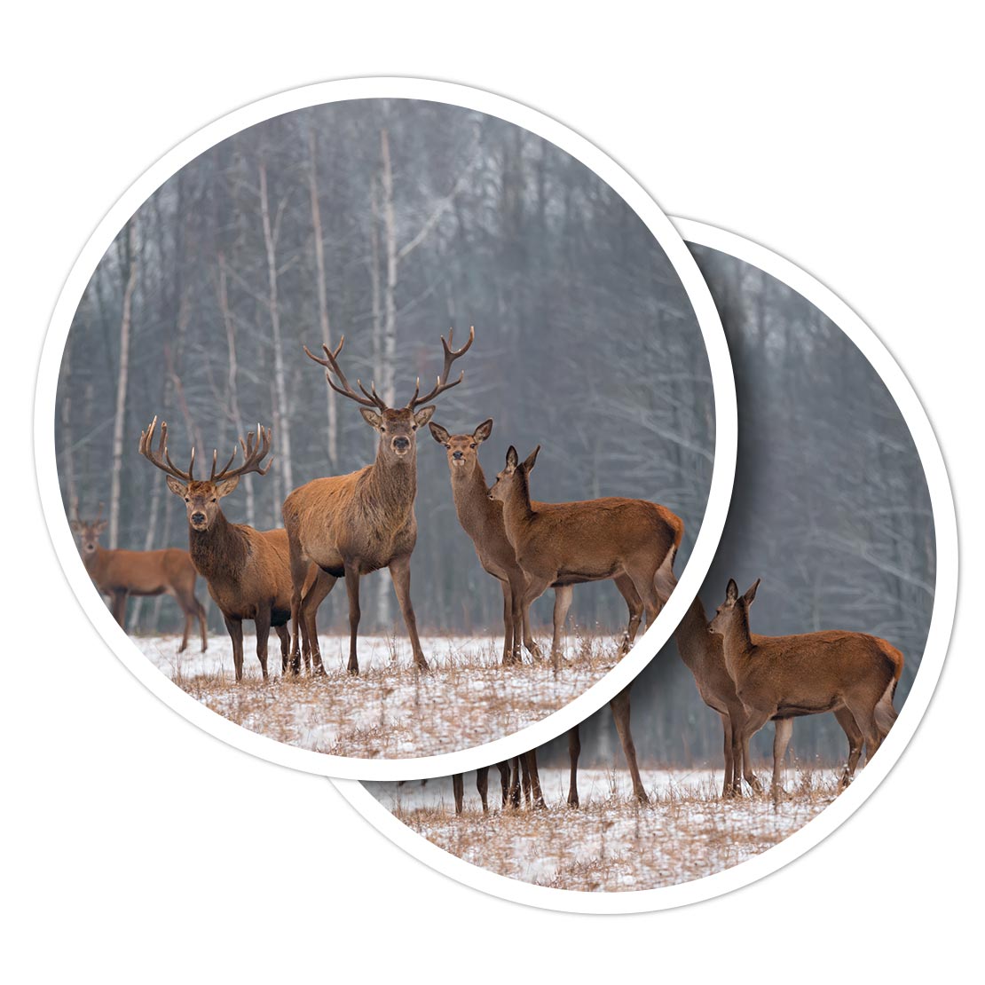 2x Vinyl Stickers Red Deer Stag Winter Herd #53355