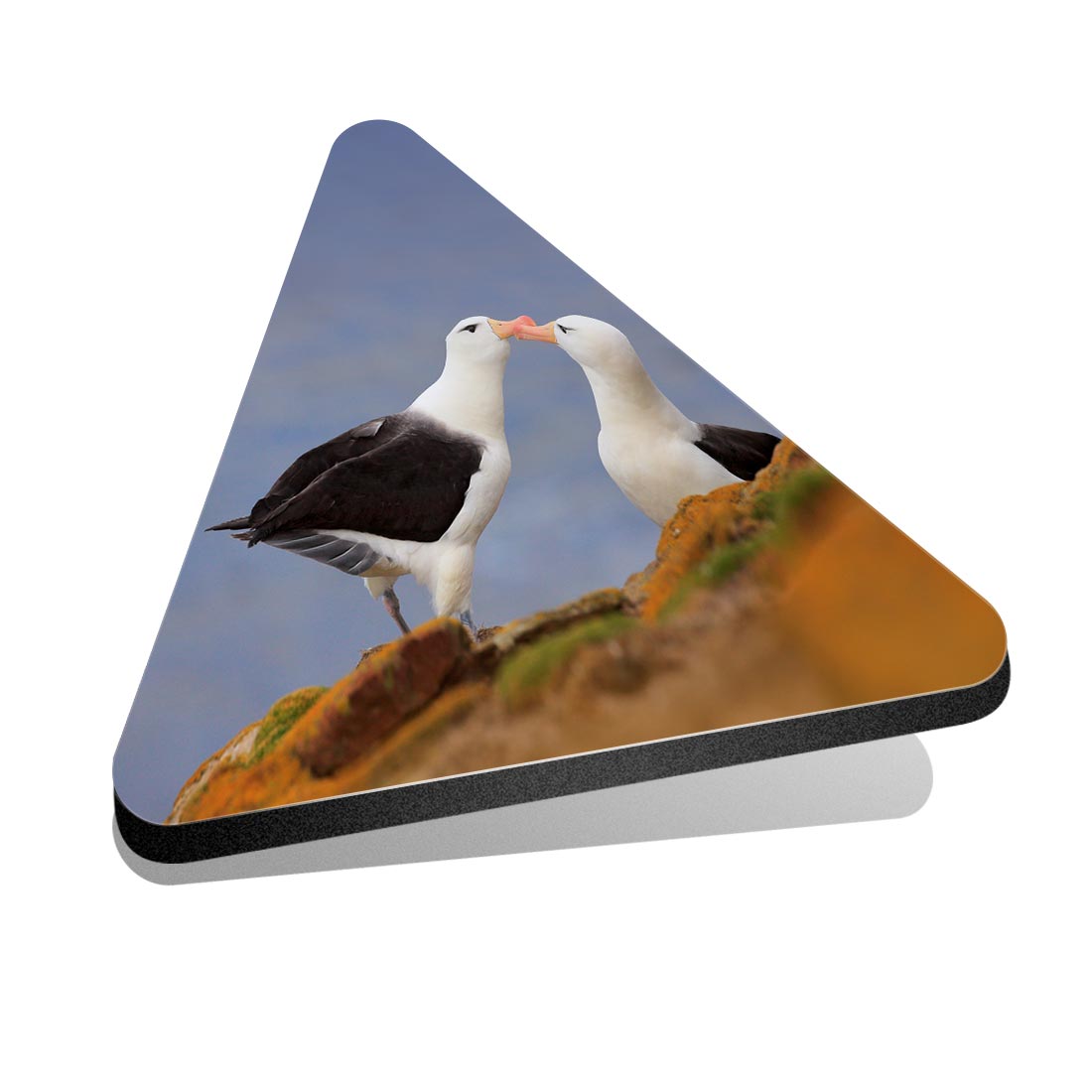 1x Dreieck Kühlschrank MDF Magnet Albatros Vogel Paar #50060 - Bild 1 von 1