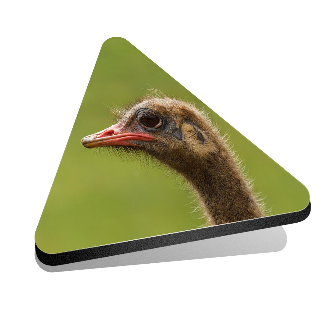 1x Triangle Fridge MDF Magnet Ostrich Head Struthio Camelus Bird #51629 - Picture 1 of 1