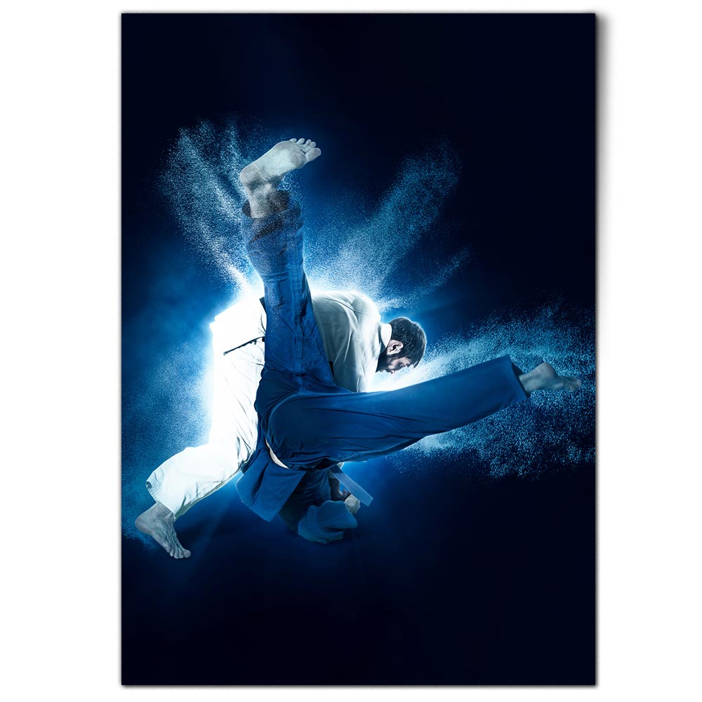 1x-vertical-poster-judo-martial-arts-battle-fight-51261-ebay